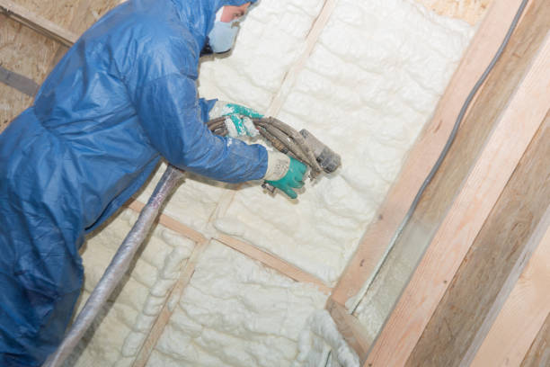 Best Radiant Barrier Insulation  in Grandview Plaza, KS